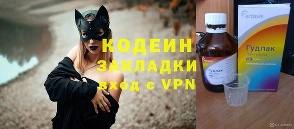шишки Аркадак