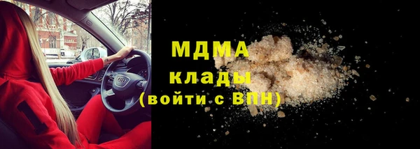 шишки Аркадак