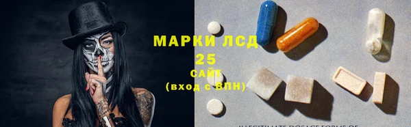 шишки Аркадак