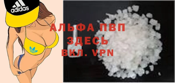 шишки Аркадак