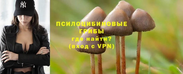 ALPHA PVP Арсеньев