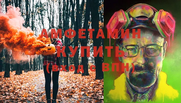 шишки Аркадак