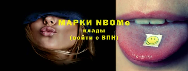 шишки Аркадак