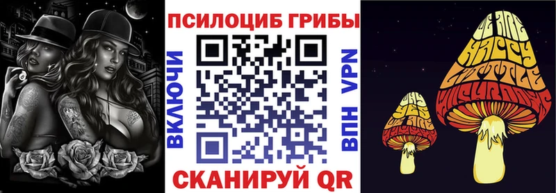 Псилоцибиновые грибы Magic Shrooms  OMG как зайти  Ногинск 